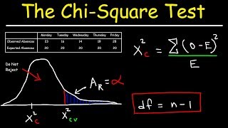 Chi Square Test [upl. by Faso]