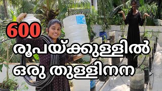 600 രൂപയ്ക്കുള്ളിൽ ഒരു തുള്ളിനന Drip irrigation system in my terrece garden irrigation easy tips [upl. by Solomon476]