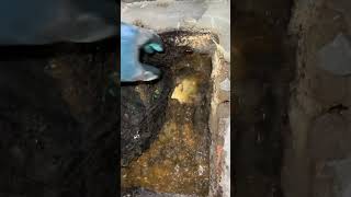 Unclogging Drains with a Plumbers Helper The Ultimate Guide [upl. by Baptist137]