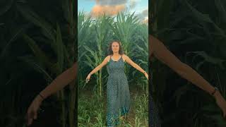 The Mennonite Woman in the Corn Field 🤣 [upl. by Ingrid]