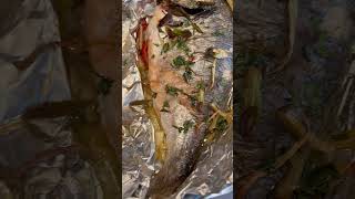 Baked Dorado Fish with tomatoesgingerscallions and cilantro salt and pepper to taste [upl. by Sternick158]