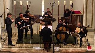 A Vivaldi  Concerto for flautino RV 443  Teun Wisse Ensemble Locatelli VIDEO HD [upl. by Idak]