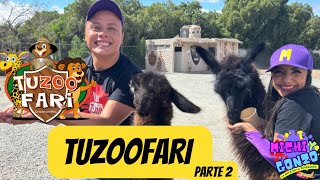 TUZOOFARI  osos leones aves y víboras  parte 2 [upl. by Ettelegna]