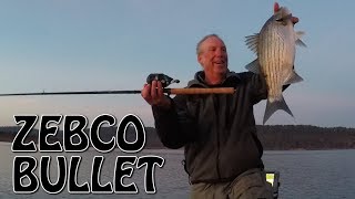 Hybrid bass caught on a ZEBCO Bullet that slams a topwater lure [upl. by Foushee]