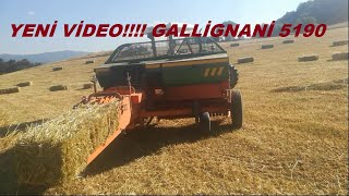 GALLİGNANİ 5190 YULAF BAĞLIYORUZ MASSEY FERGUSON 277 GOLD BALE MACHINE BALE MAKING [upl. by Dnomyar]