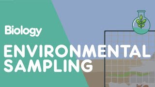 What Is Environmental Sampling  Ecology amp Environment  Biology  FuseSchool [upl. by Olethea799]