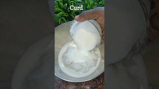 🤩 Creamy Curd Rice l Madhampatty Rangaraj recipe shorts trending viral [upl. by Leugim]