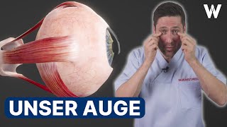 Unser Auge 👁 Wunderwerk Mensch Anatomie Aufbau amp Funktion unserer Augen Körperteile Part 1 [upl. by Aivatnwahs837]