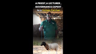 Dorper Farming Episode 1 KenBoer Farm farmlife dorper livestock [upl. by Merp]