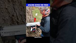 How This Device Check Health Of The Trees😱 [upl. by Marih]