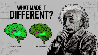 How Einstein Brain Was Different Than Others  Tazkeyavibes [upl. by Avilla]