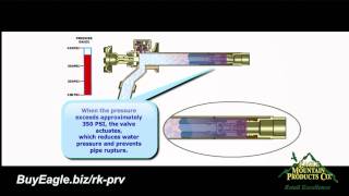 How Does A Woodford Pressure Relief Valve Work [upl. by Hara738]