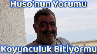 KOYUNCULUK BİTİYORMU  HUSONUN YORUMU [upl. by Apur]