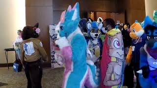 Anthro New England 2024 Fursuit Parade [upl. by Slocum]