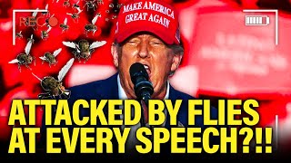 Trump SWARMED BY FLIES at Speeches…WTF is Happening [upl. by Shabbir783]