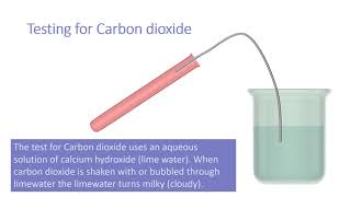 Identification of Common Gases [upl. by Ahsiet517]