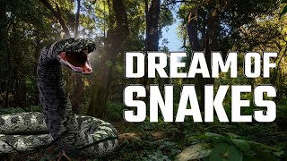 The Dream Of Snakes [upl. by Cristine786]