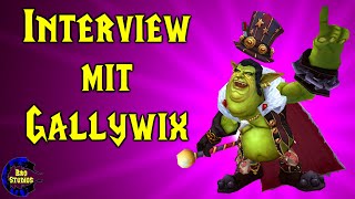 Interview mit Gallywix [upl. by Reffotsirk]