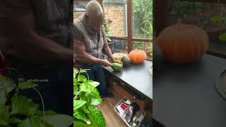 The Callaloo man cutting my very first homegrown watermelon 🍉 [upl. by Grissom573]