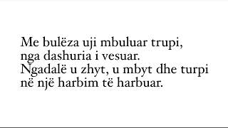 “Vdekja e turpit absurd” poezi nga Teodor Keko interpreton Timo Flloko [upl. by Shana]