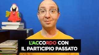 LACCORDO DEL PARTICIPIO PASSATO [upl. by Wain]