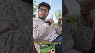 Top 5 Tea plants shorts ytshorts tea chai top5 top10 toptrending [upl. by Warfield681]