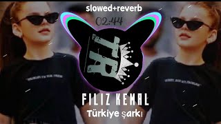 Top 😍 filiz Kemal song slowedreverb Turkish song by yoksunbukalbiYaksamProremix song [upl. by Engeddi]