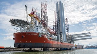 Over 3 hours of shipspotting Rotterdam  Hoek van Holland  Nieuwe Waterweg  ASMR  Maasvlakte [upl. by Blackwell440]