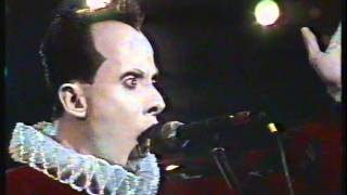 Klaus Nomi  After The Fall [upl. by Lobiv646]