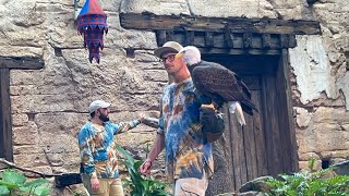 Dan the Star Man presents Feathered Friends in Flight in Disneys Animal Kingdom [upl. by Payson]