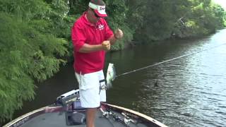 Crappie Fishing at Long Lake Resort [upl. by Tamaru]