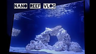 Nano Reef Vlog  250 litrów posolone 🧂🤿🐠 [upl. by Lois764]