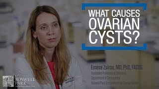 What Can Cause Ovarian Cysts [upl. by Ettenil]