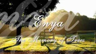 Enya  The Memory of Trees [upl. by Rehpotsirhk]