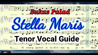 STELLA MARISTenor Vocal Guide [upl. by Nairahcaz]