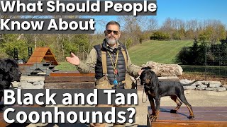 Black amp Tan Coonhound  What Should People Know [upl. by Neneek]