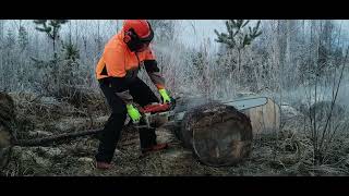 Stihl 076aveq  41quot Duromatic Bar  Finnish Spruce Pushing Chain [upl. by Sobel]