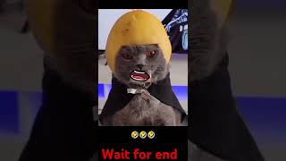 Mahindr😆bahu😆bali😆funny 😁 viral 🤣 video yt comedy trending viralvideo 😅😅 [upl. by Arymat]