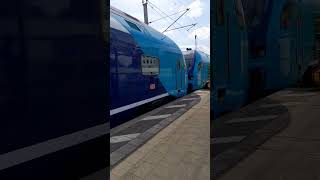 Stadler Kiss 3 donnert durch Rahlstedt [upl. by Yramanna996]