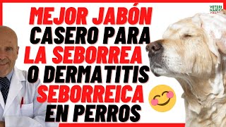 🔴 SEBORREA O DERMATITIS SEBORREICA EN PERROS 🔴 TIPOS y REMEDIOS Caseros 💚💚 Jabón Casero para Perros [upl. by Essej]