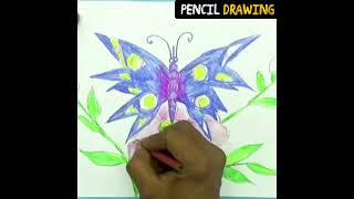 Butterfly Drawing Easy Step by Step  Easy Drawings [upl. by Leivad952]