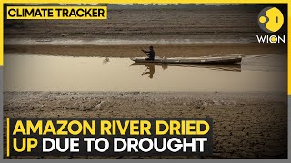 Dolphins in Amazon die due to shallow rivers  WION Climate Tracker [upl. by Anazraf228]