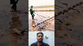 🤔விதை விதைக்க சூப்பர் ஐடியா⁉️  Super Farm Idea💯 trending seedsowing tipsandtricks ideas shorts [upl. by Icram]