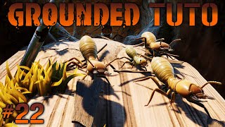 TUTO  GUIDE  GROUNDED 22 LA PUCE DE LA TERMITIÈRE amp LE BOSS  LE ROI TERMITE [upl. by Goldshlag]