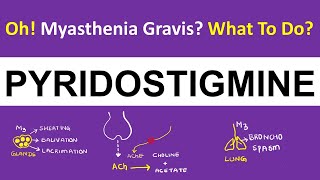 Pharmacology  Pyridostigmine  Myasthenia Gravis  How It Works [upl. by Euqinobe]