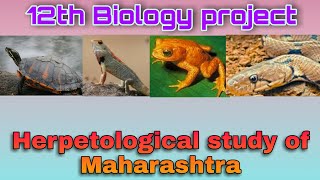 12th Biology project on Herpetological diversity of Maharashtra [upl. by Eberta]