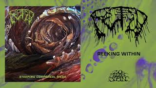 FETID  Reeking Within From Steeping Corporeal Mess LP 2019 [upl. by Ayiak]