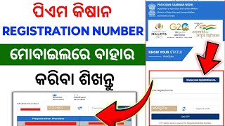 pm kisan registration number  pm kisan yojana odisha online apply  pm kisan new registration [upl. by Airetahs]