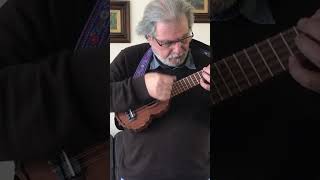 One of a kind Charango  art charango luthier [upl. by Eceinart]