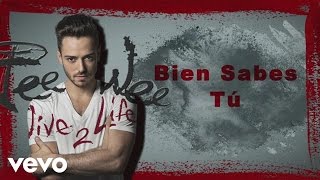 PeeWee  Bien Sabes Tú Cover Audio ft Río Roma [upl. by Solokin]